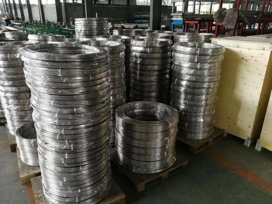 Stainless Steel Coiled Tubing in Steel Pipe and Steel Tube